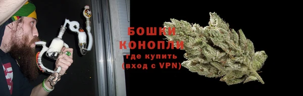 ешки Гусь-Хрустальный