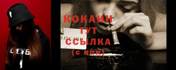 ешки Гусь-Хрустальный