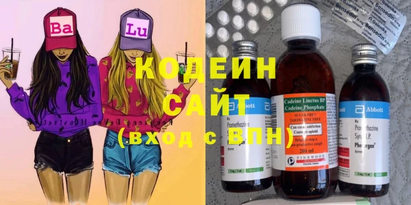 ешки Гусь-Хрустальный